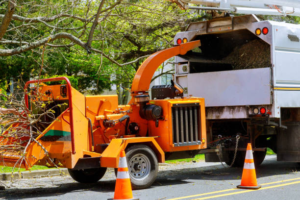 Best Tree Risk Assessment  in Southern Shops, SC